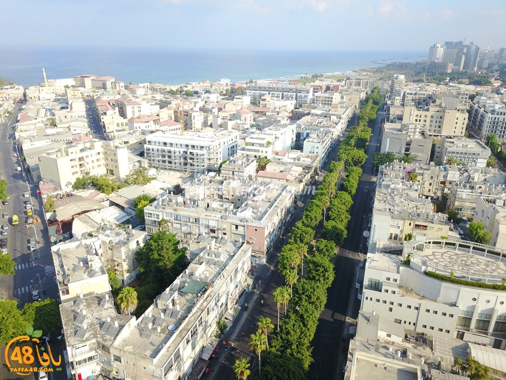 jamal basha tsterre (11).jpg